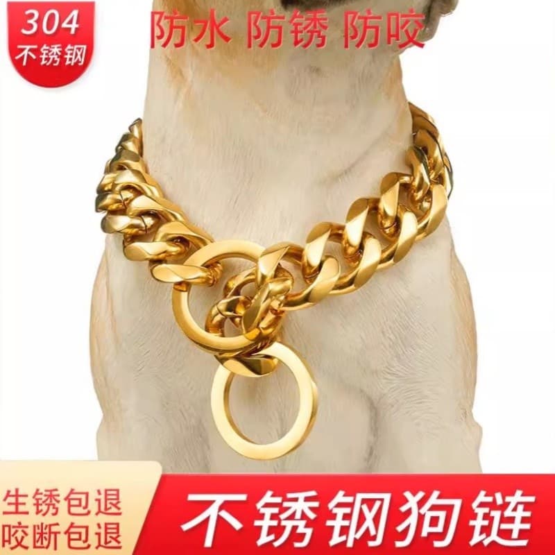 Cão ouro colar colar trela de aço inoxidável letras cão corrente dourado animal de estimação médio grande cão p corrente