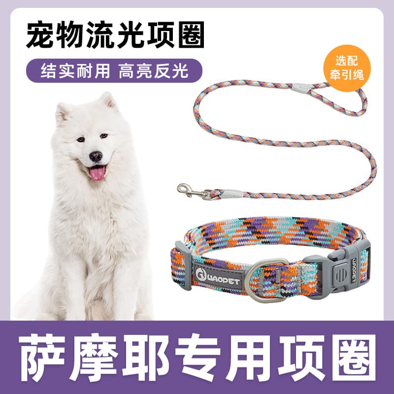 Samoyed coleira especial para cães de estimação, coleira para caminhada, grande, médio e pequeno, coleira com corrente p