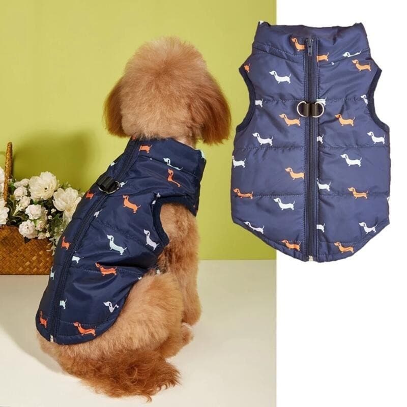 Pet Gatos Cães Quente Zíper Tração Buraco Cardigan Colete De Algodão Roupas Quentes Outono Inverno Para Animais De Estim