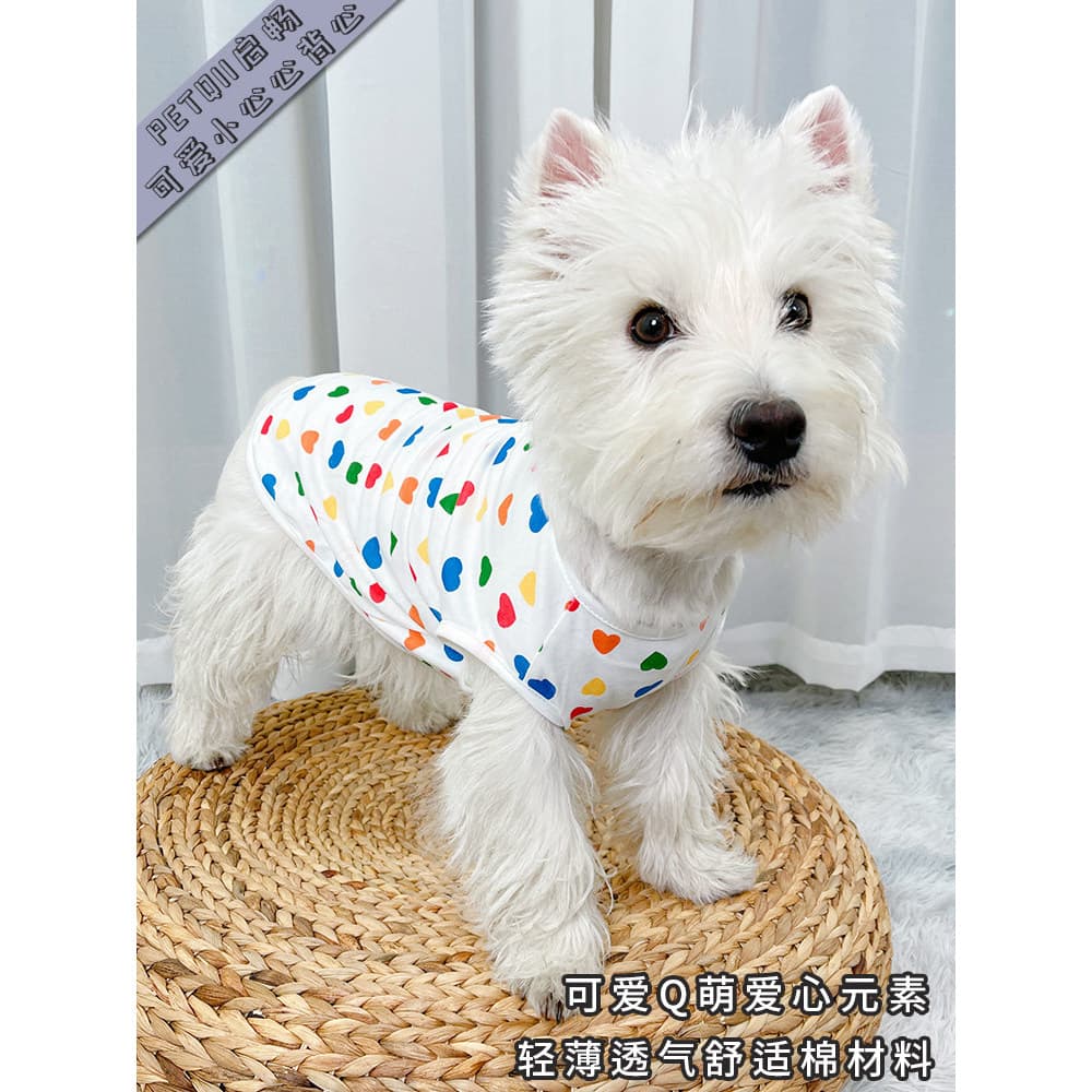 Cão roupas de verão estilo fino outono inverno gato primavera outono gatinho filhote de cachorro Bichon Teddy gato colet
