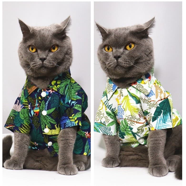Verão estilo fino roupas para cães Teddy Bichon roupas filhote de cachorro gato roupas para animais de estimação camisa