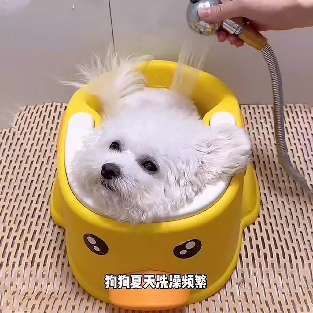 Banheira especial para cães Bichon pequeno, banheira para animais de estimação, filhotes pequenos, necessidades diárias,