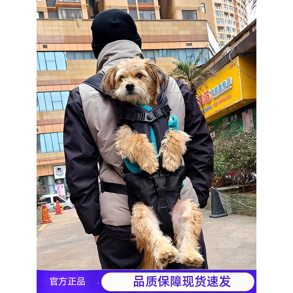 TAILUP Mochila para cães de estimação Mochila de peito de pelúcia com cachorro Motocicleta Equitação Bichon Mochila Hori