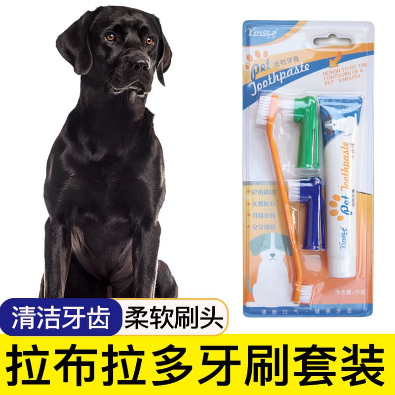 Preto Labrador escova de dentes especial conjunto de pasta de dentes para animais de estimação ferramentas de escova de