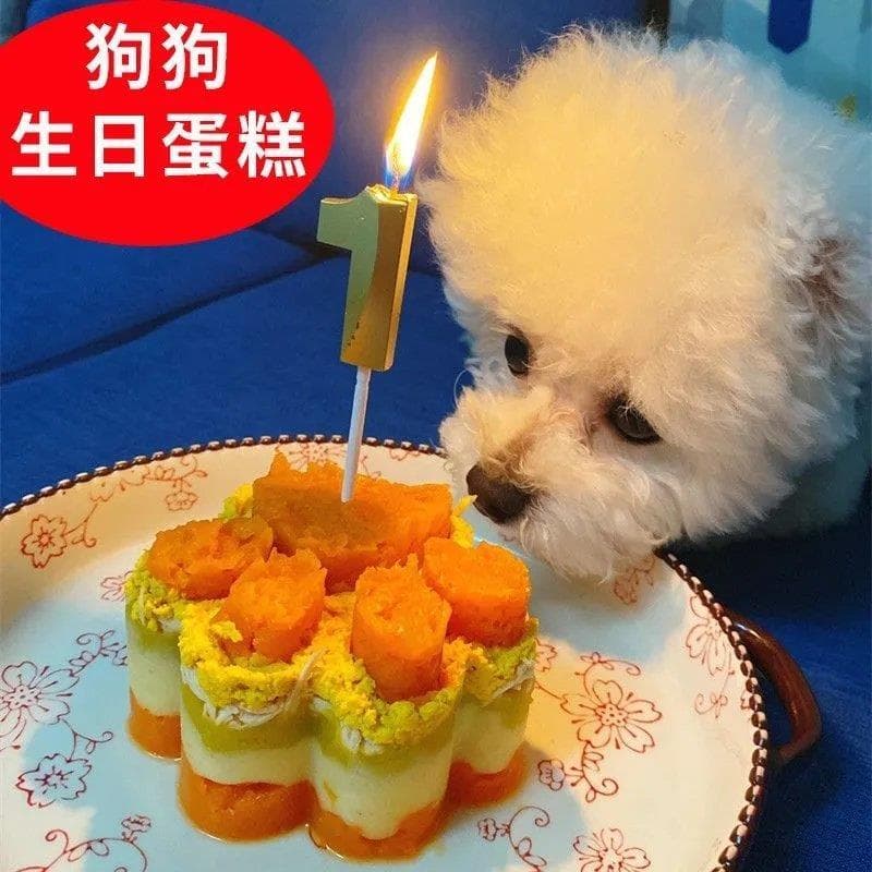 Molde de bolo de aniversário para animais de estimação, faça você mesmo, molde de garra de cachorro caseiro, aço inoxidá