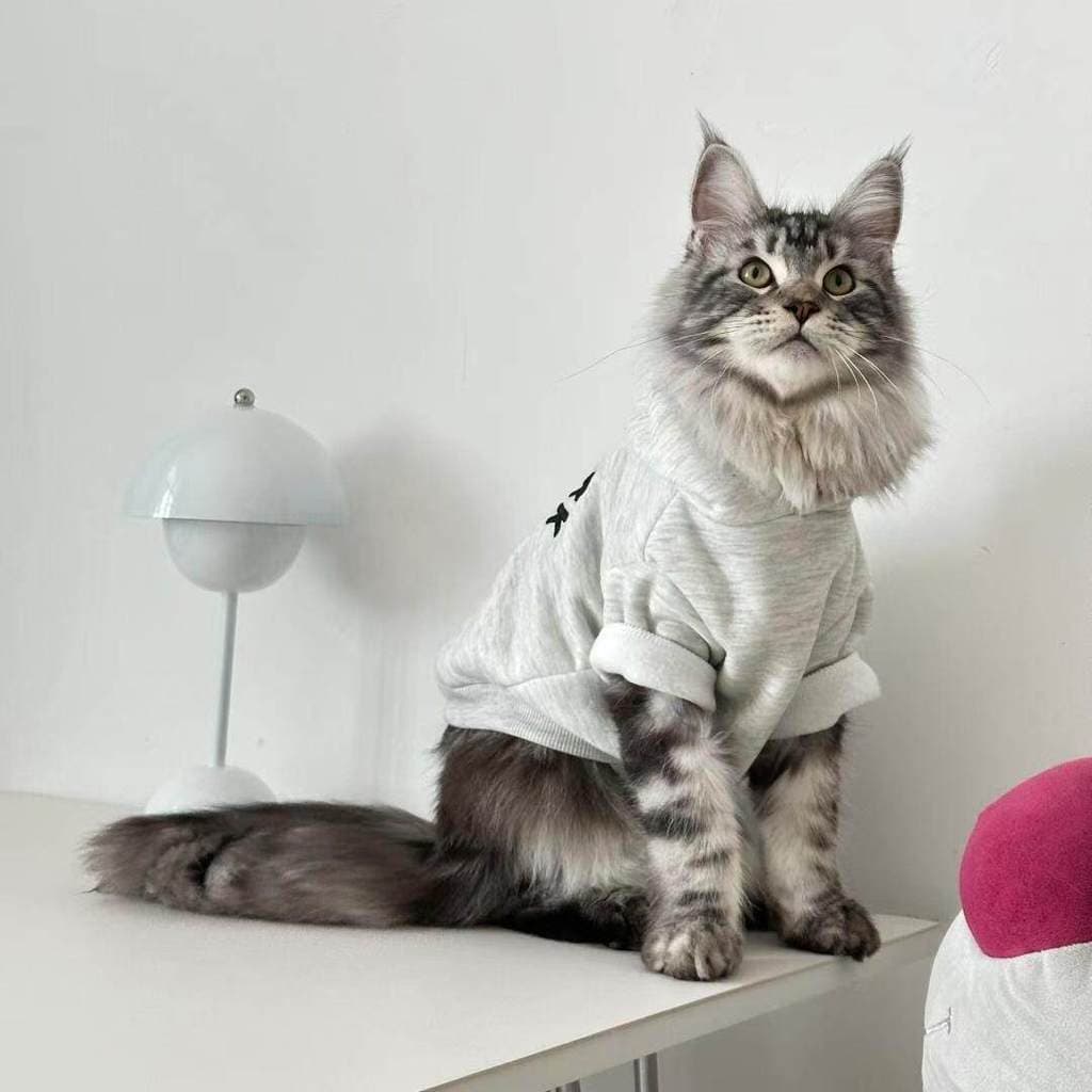 Principal roupas de gato inverno quente Pet Street Wear forro de lã moletom Muppet gato pequeno cão cinza branco Retro H