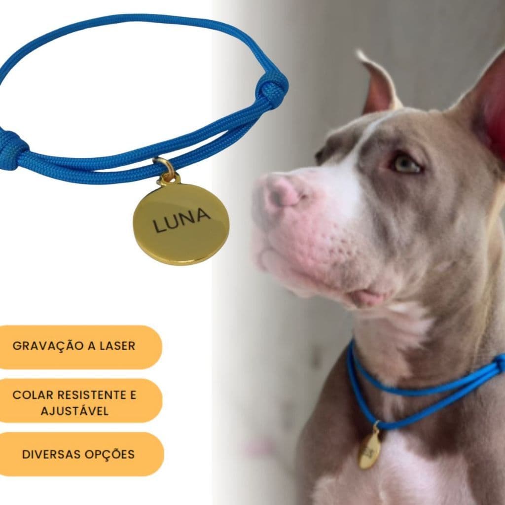 Coleira para Cachorro com Pingente tag de Identificação Gravada a laser Plaquinha Personalizada