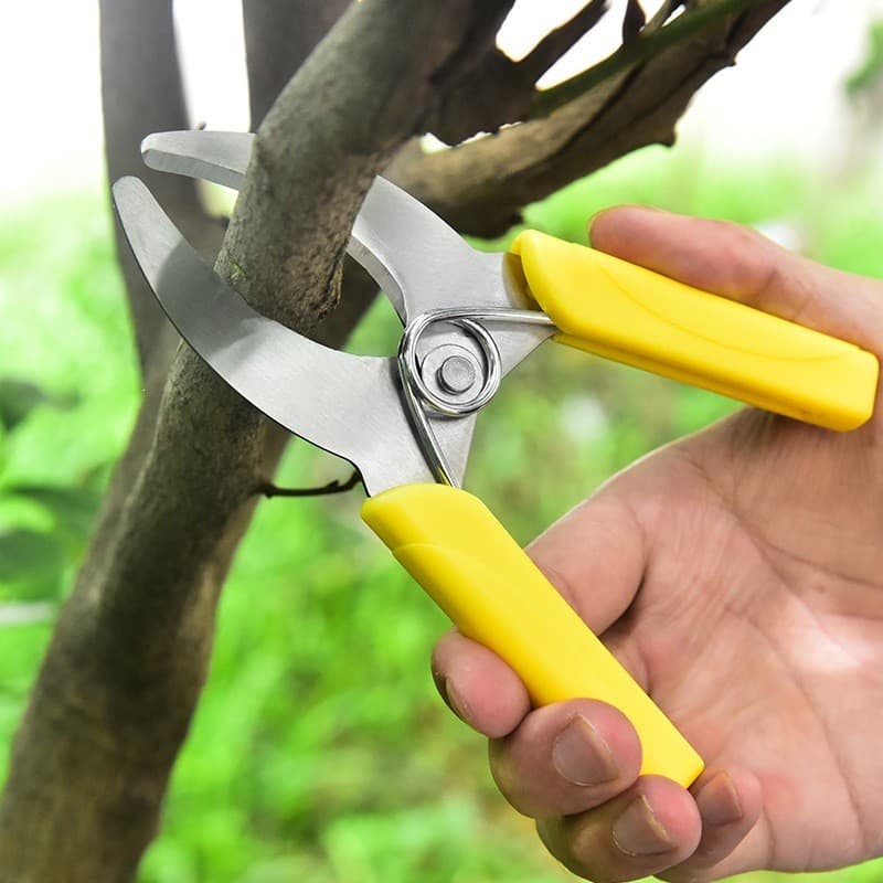 Tesoura de corte de anel de árvore frutífera Tesoura de jardinagem de aço inoxidável Tesoura de poda de galhos d