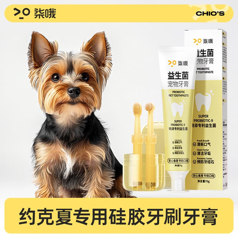 Pet pasta de dentes gato cão escova de dentes conjunto pequeno cão gato escova de dentes remover mau hálito limpeza come