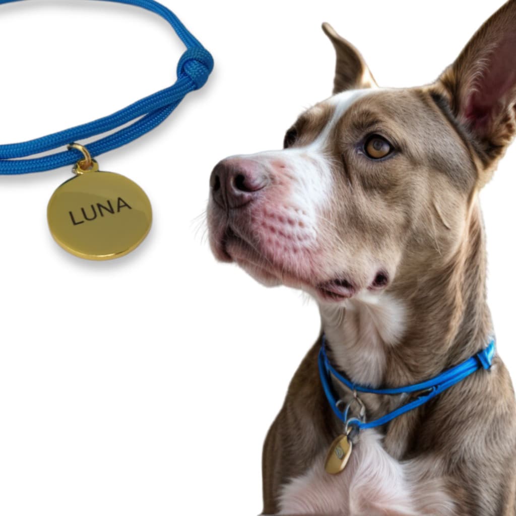 Colar de corda com plaquinha de identificação pet cachorro gato personalizada com gravação a laser