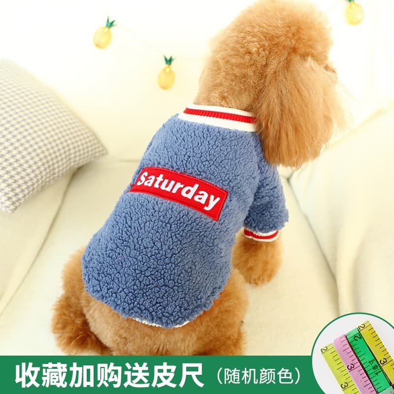 Pet Bichon Schnauzer cão pequeno Teddy filhote de cachorro roupas para cães outono inverno roupas rua Wear roupas de dua