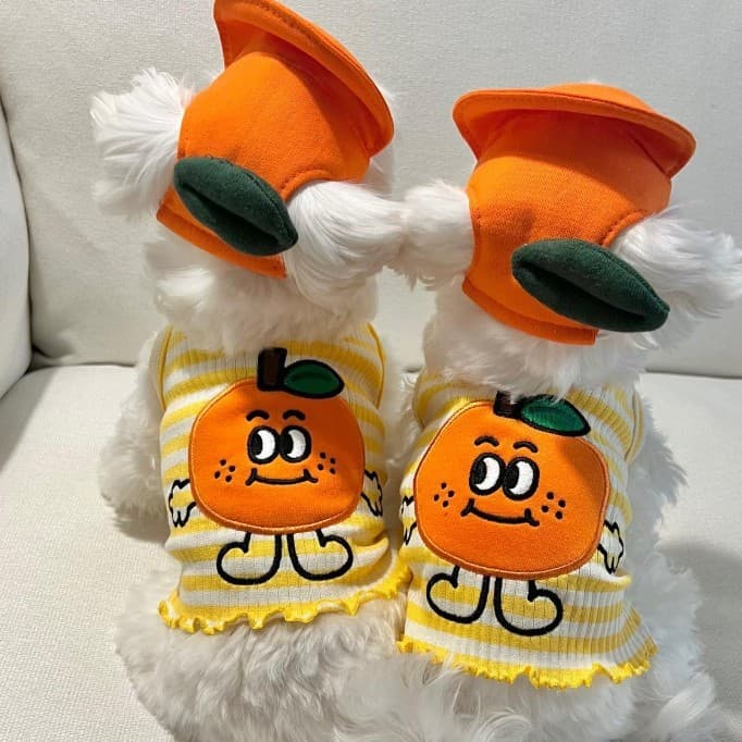 26 novo estilo roupas para animais de estimação primavera verão Bichon pequeno cão listrado gato duas pernas colete fino
