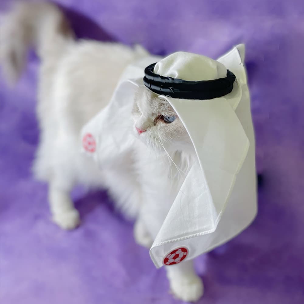 Animal de estimação lenço chapéu gato cão protetor solar à prova de vento areia chapelaria artesanal copa do mundo masco
