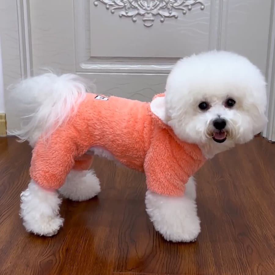2025 novo estilo roupas para cães primavera outono pequeno cão Teddy Bichon Pet urso orelhas com capuz moletom de quatro