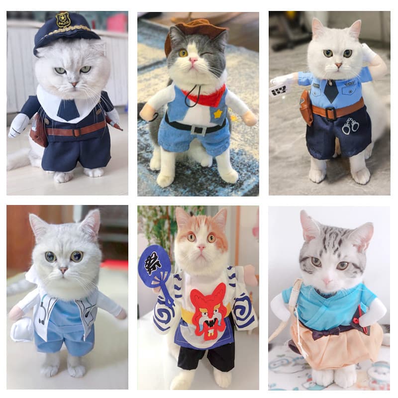 Influenciador roupas de gato engraçado roupas engraçadas inglês curto Muppets gatos gatinhos roupas verticais cão roupas