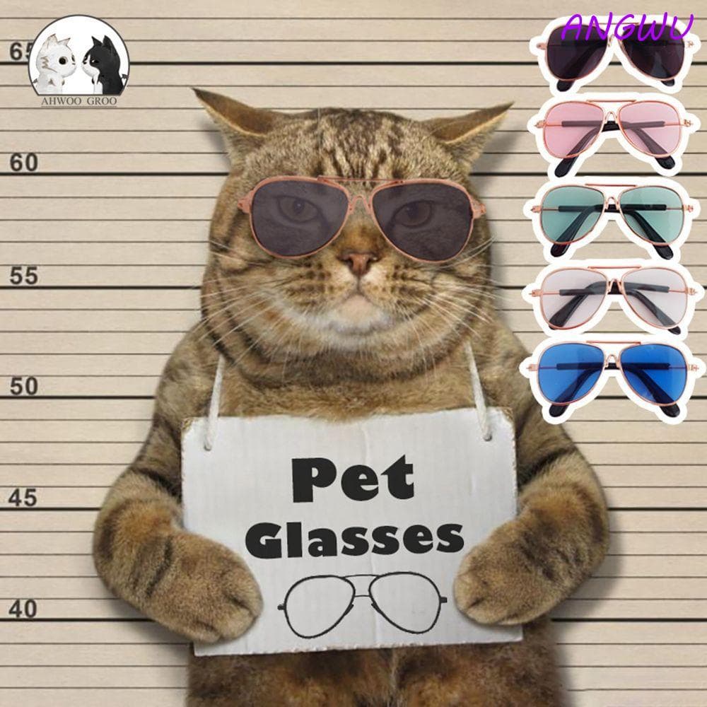 ANGWU Óculos Para Animais De Estimação Suprimentos De Brinquedos Acessórios Reflexão Eye Wear Moda Produtos