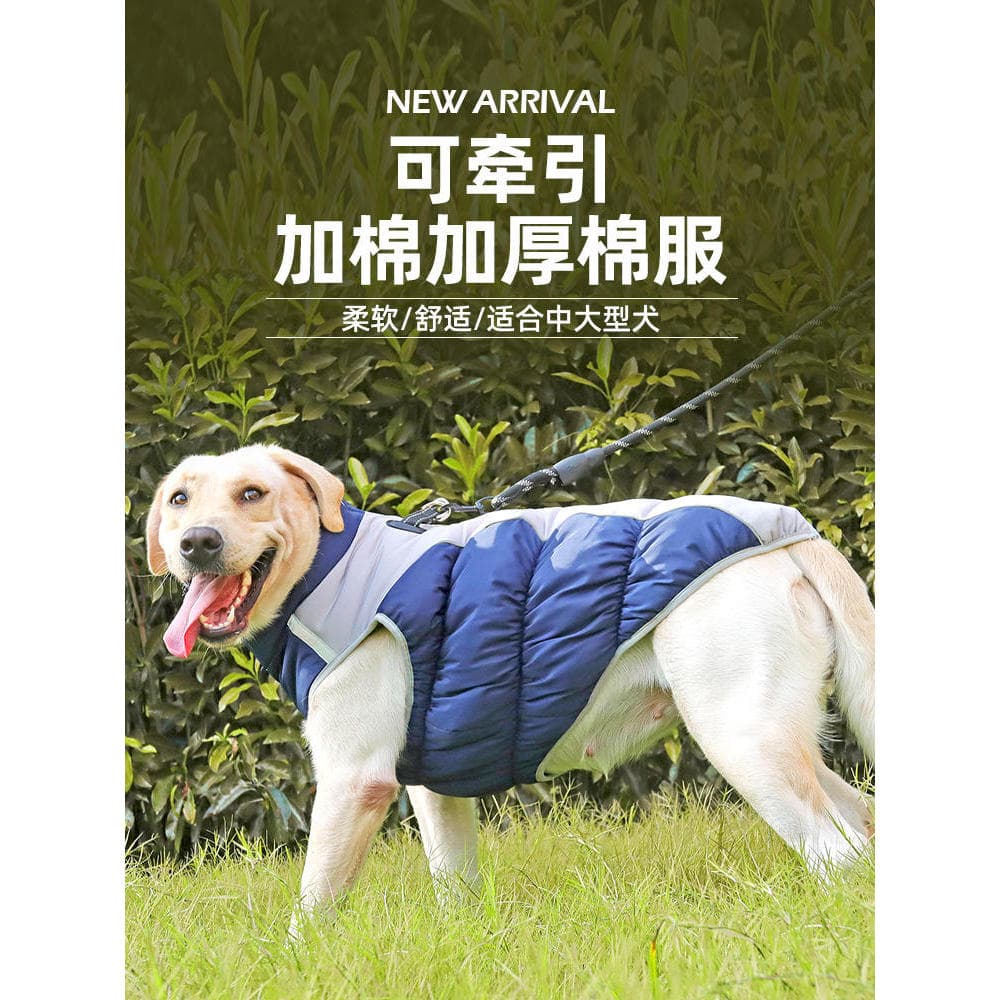 Roupas para cães casaco de algodão de inverno tamanho médio grande cão Golden Retriever Labrador especial quente engross