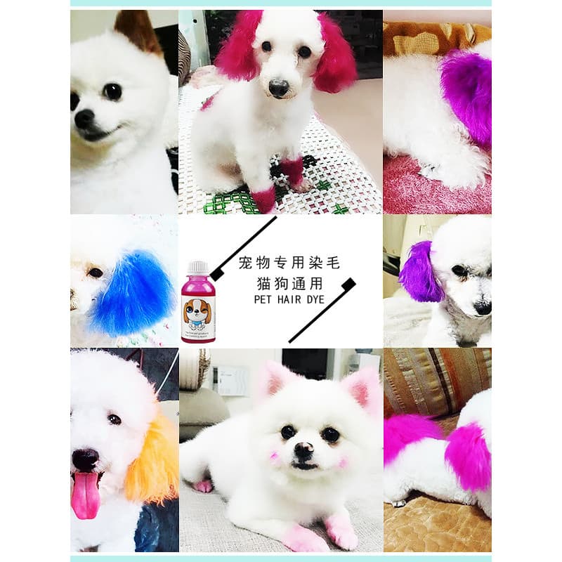 Tintura de cabelo para cachorro, tintura dedicada para animais de estimação, Panda preto, pomerânia, Teddy, creme de tin