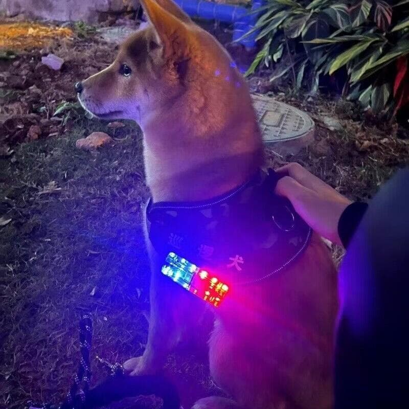 Cão noite andando luz cão andando luz noturna luz de advertência colete decorações luz da noite Anti-perdido Labrador ci