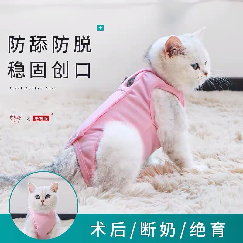 Gato roupas de esterilização feminino masculino gato pós-operatório anti-lamber mordida desmame roupas primavera verão a