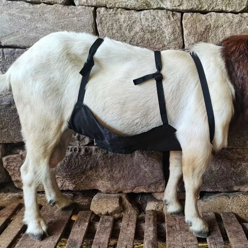 Bolso de barriga de ovelha respirável anti-masculino ovelha escalada barriga de ovelha bolso pastagem espécies ovelhas a