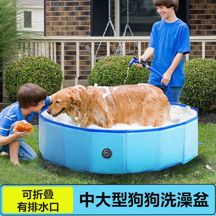Banheira para cães dobrável, banheira grande para cães médios e grandes, Golden Retriever, piscina especial para cães