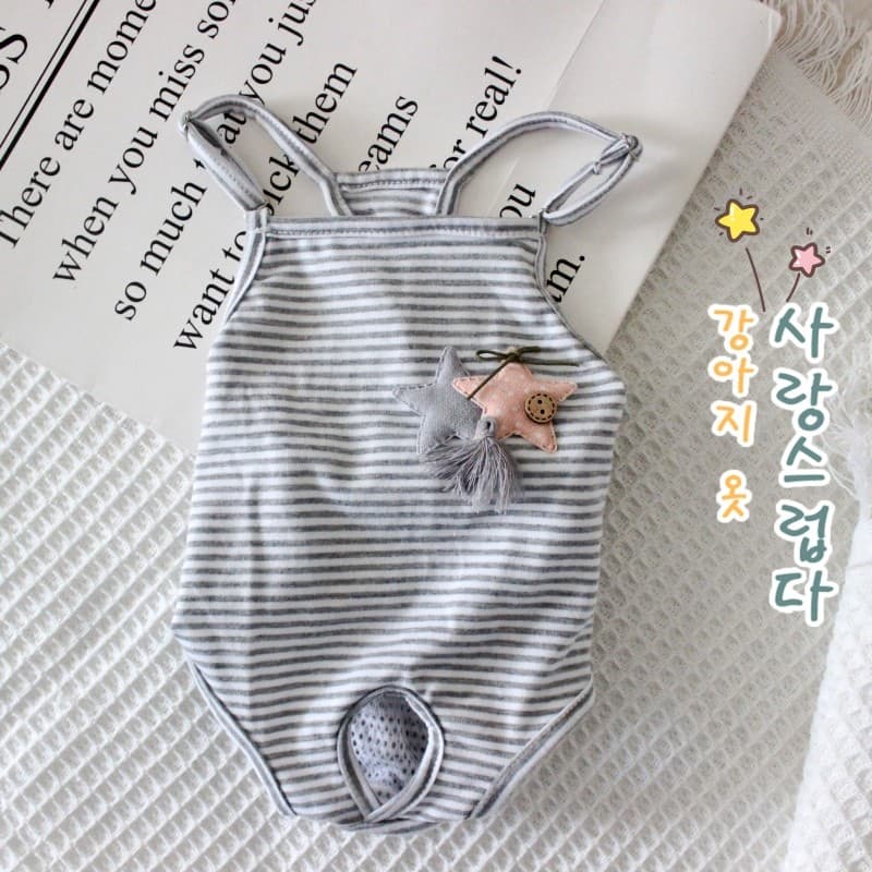 Calças menstruais para animais de estimação Teddy Período menstrual Calças de segurança Macacão Calças sanitárias Bichon