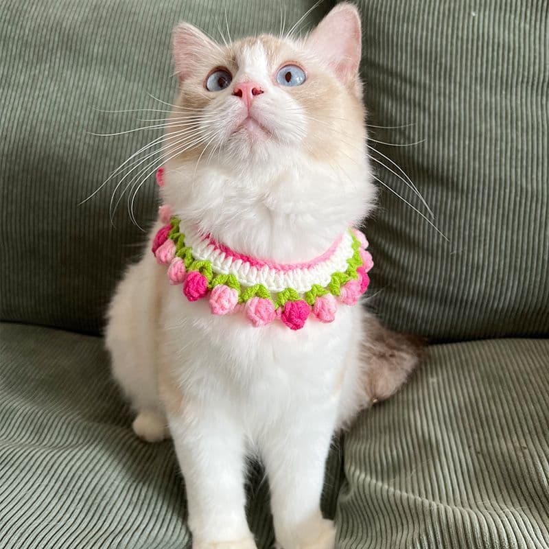 Gato decoração colar tecido colar babador foto decoração acessórios bonito Muppets inglês cães curtos