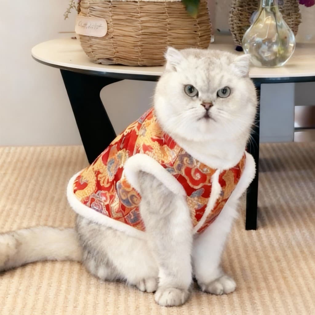 Roupas de gato ano novo vermelho festivo dragão Robe pet roupas de ano novo mantendo quente forro de lã fivela roupas pa