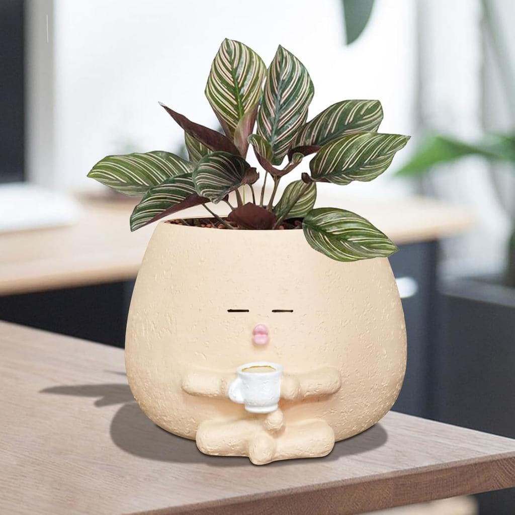 Vaso de Plantas com Rosto Sorridente e Tema de Café, Vaso de Resina Fofo em Forma de Cabeça de Flor para Plantas Suculen