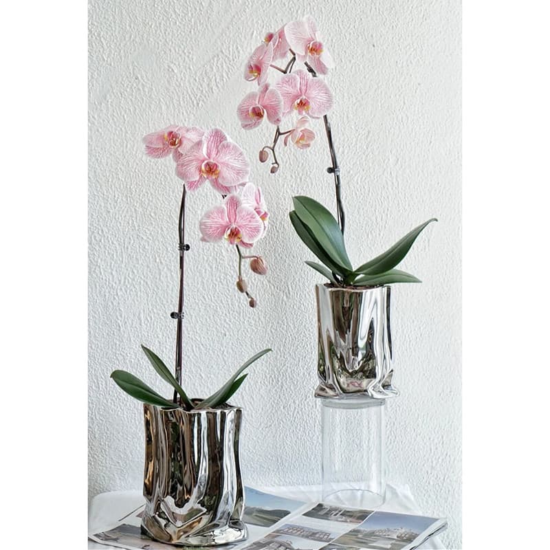 High-end Phalaenopsis orquídea pote orquídea vaso de flores luz luxo high-end galvanoplastia prata criativo vaso decoraç