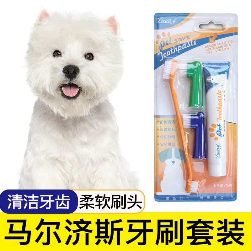 Maltês escova de dentes especial para animais de estimação, berços de dedo, ferramentas para escovação de dentes, suprim