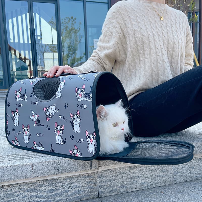 Saco de gato Anti-excível passeio portátil mochila coelho saco espaço cápsula gato saco de escola Pet gato gaiola cão ga