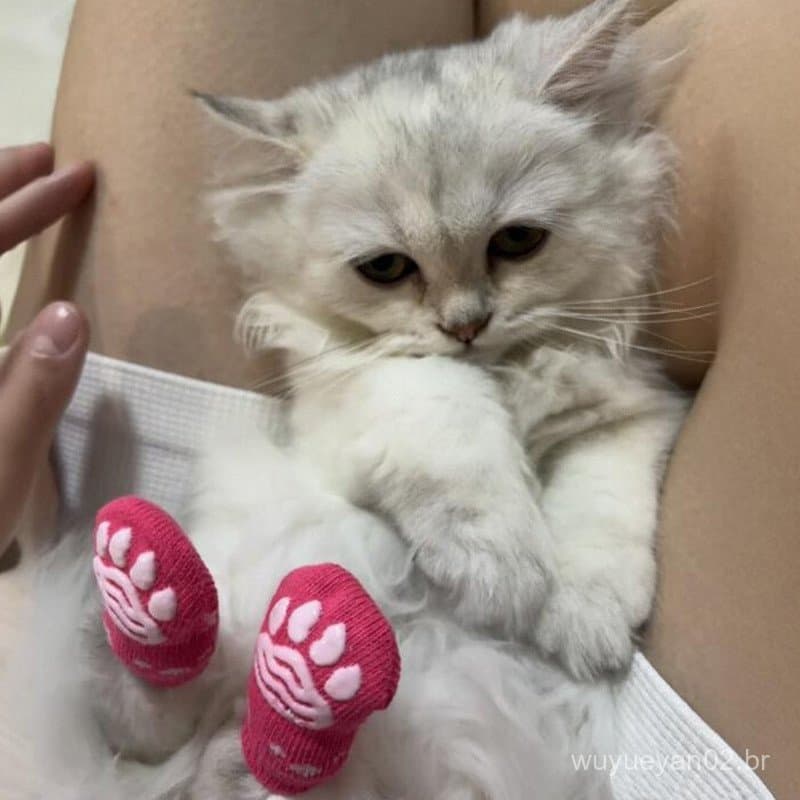 Gato bonito meias pé capa anti-risco sapato capa cão de estimação sapatos especiais anti-risco verão anti-queda anti-suj