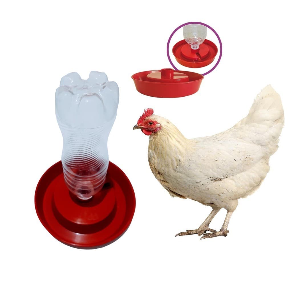 Kit 3 Base Bebedouro Para Galinha Frango Pintinho Codorna Pato Marreco Angola Ganso - Utilizar em Garrafa Pet
