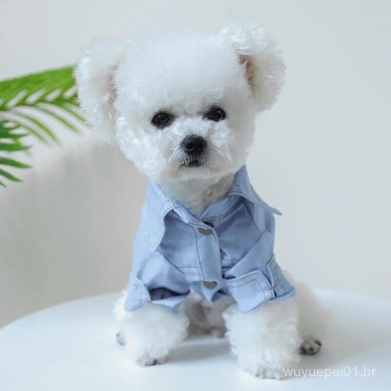 Novas Roupas Jeans Para Cães Podem Puxar Gato Lapela Camisa Protetor Solar Quente Animais De Estimação Gatos