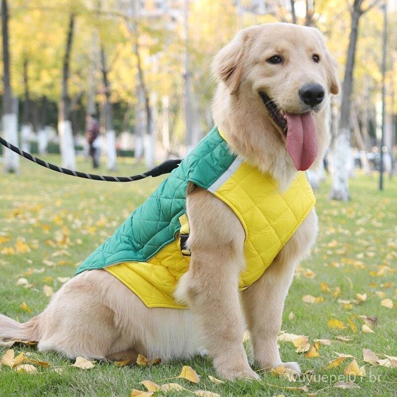Roupas De Inverno Para Cães , Jaqueta À Prova D'água Pequenos E Grandes , Casaco Quente De Estimação , Acolchoadas