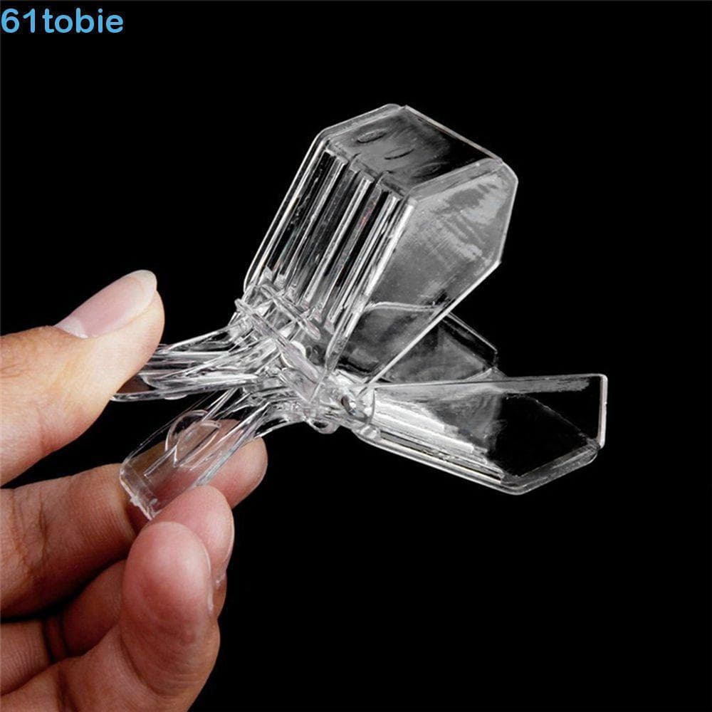 TOBIE Abelha Clipe Sala De Isolamento Equipamentos Apicultura Gaiolas Rainha Apanhador Apicultor Ferramentas