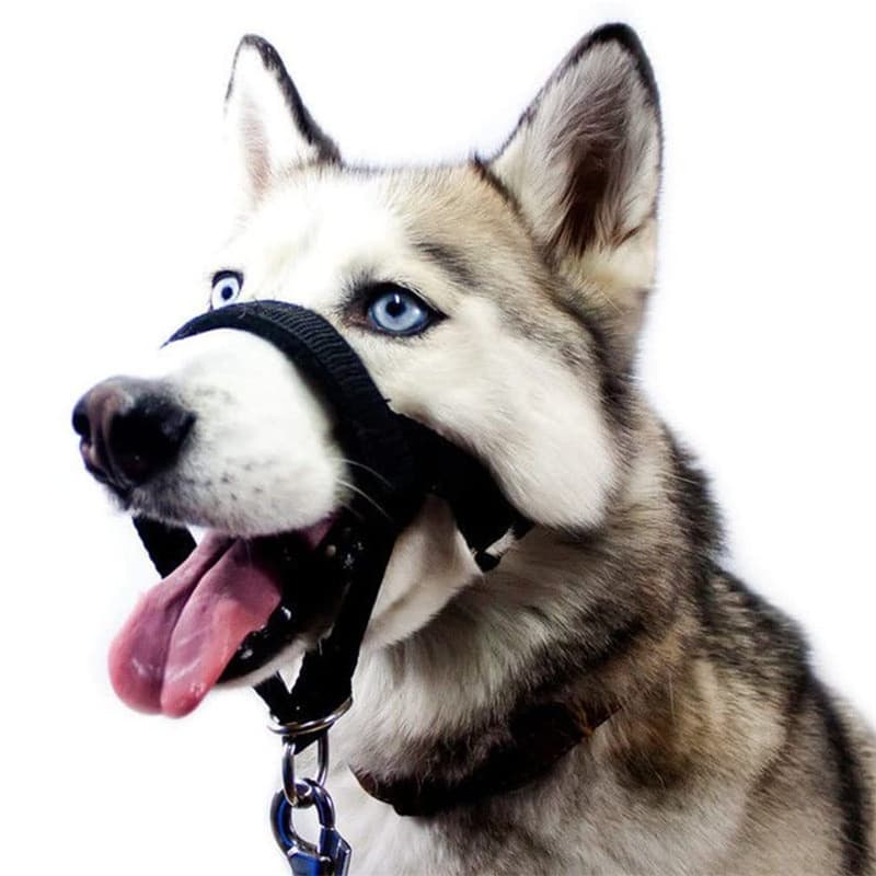 Focinheira para Cães Ajustável Anti-mordida, Máscara para Nariz, Conjunto de Tração para Animais de Estimação, Cinto de