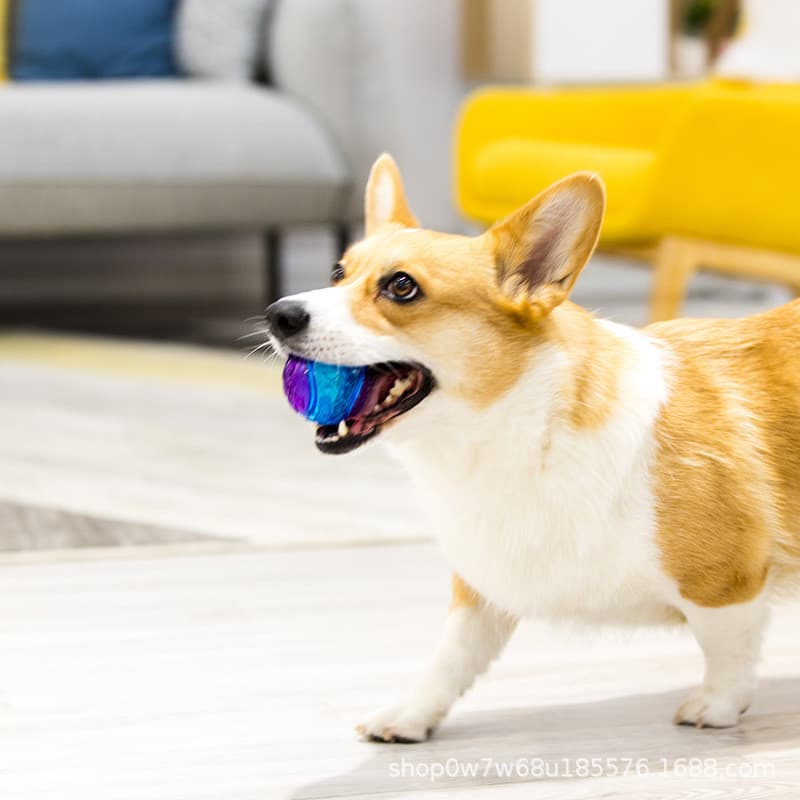 GiGwi é uma bola de brinquedo premium para cães Gball, um brinquedo sonoro para animais de estimação, ideal para filhote