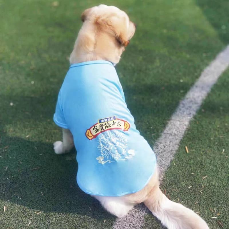 Roupa de verão para cães, de manga fina, anti-queda de pelos, para cães de grande e médio porte, Golden Retriever, Labra