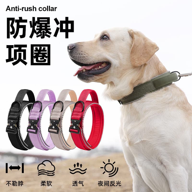 Coleira para animais de estimação, coleira à prova de estrangulamento, corrente para cães, à prova de explosão, Corgi, b