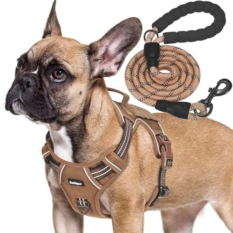 Arnês Tático Resistente Para Cães Beebiepet Pequenos , Ajustável Animais De Estimação Sem Tração Treinamento De Serviço
