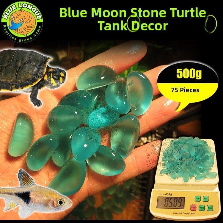 Pedra da lua azul Réptil Tanque de tartaruga Tartaruga aquática Peixe Ornamental Tartaruga brasileira Grama Tartaruga Ta