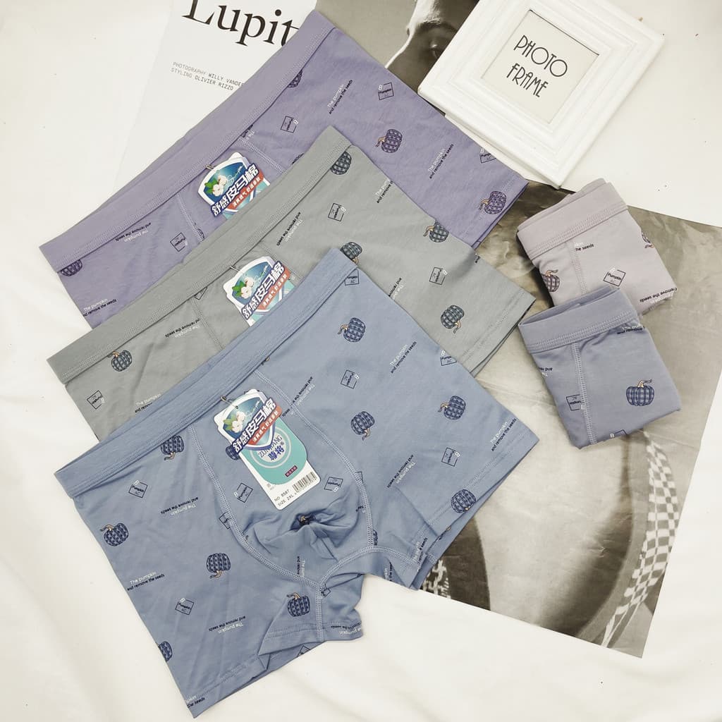 Zunjiang 8587 absorvente de suor respirável confortável couro cavalo algodão Boxer masculino amigável à pele virilha de