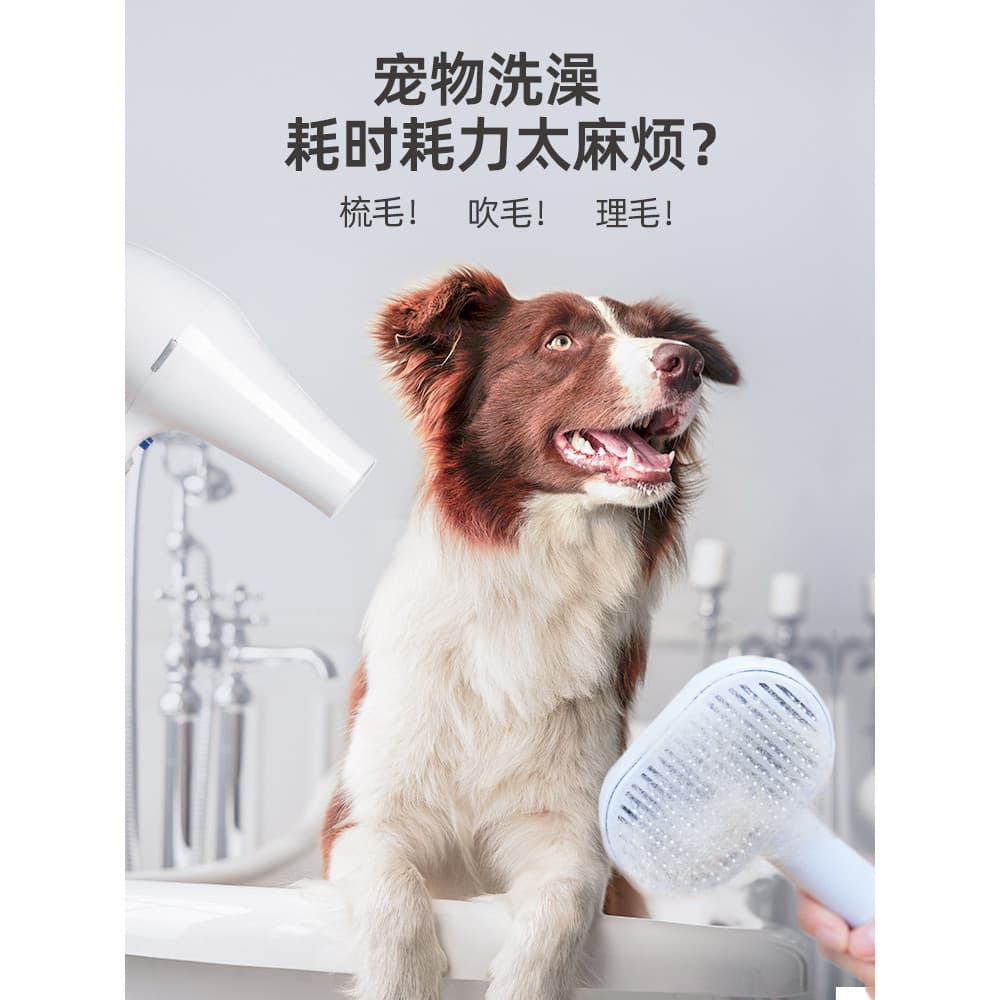 Aox secador de cabelo para animais de estimação, escovado, tudo em um, secador de cabelo para cães, ferramenta útil, sec
