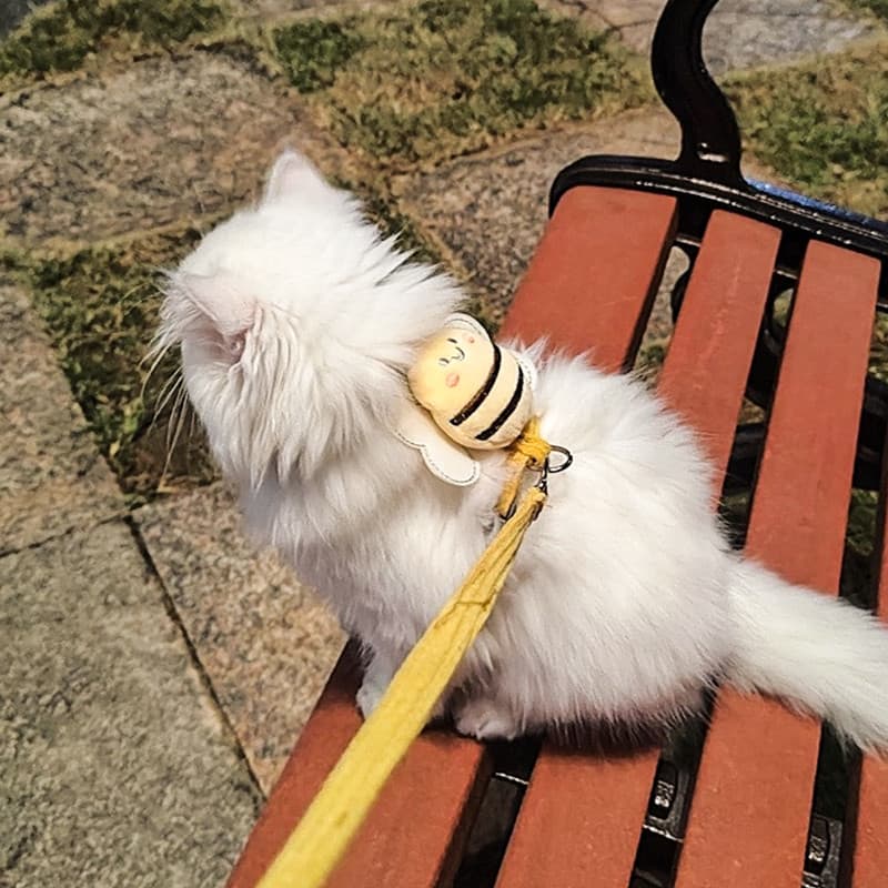 Corda de tração para gatos, corda Anti-quebra em forma de I para caminhada de gatos, alça peitoral ajustável, corrente p