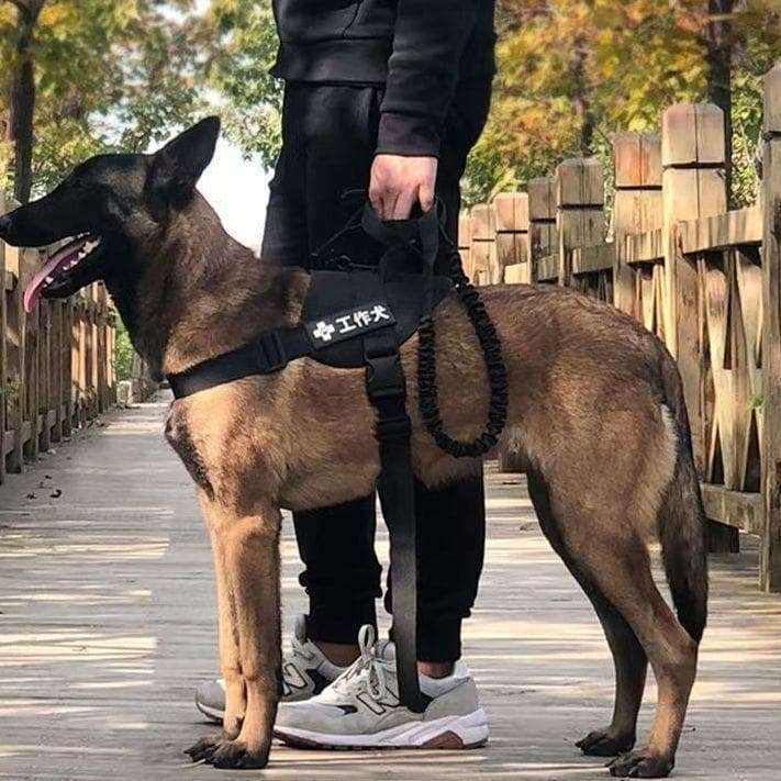 Corda de tração para cães e cavalos, cinta peitoral tática dedicada para cães médios e grandes, tipo colete para caminha