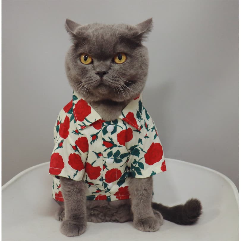 Gato de estimação pequeno filhote de cachorro roupas de gato verão estilo fino Anti-fiapos rosa estilo Hong Kong camisa
