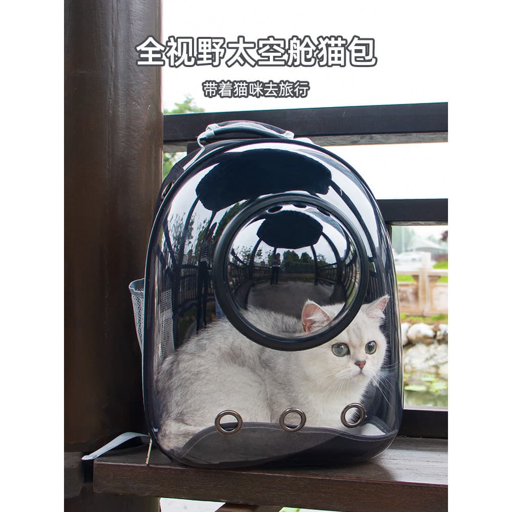 Gato Outing portátil saco respirável mochila espaço cápsula gato saco de escola grande cápsula gato Takeaway suprimentos